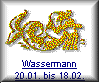 wassermann