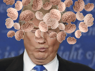Trump Brainless
