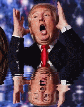 Trump watergate sinking