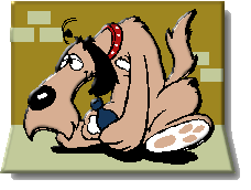 Hund, Hundviech, Bello, perro, dog, wauwau,